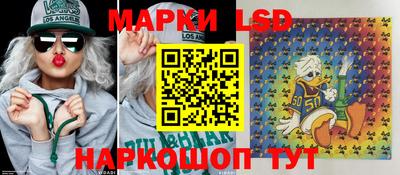 прущие грибы Краснодар