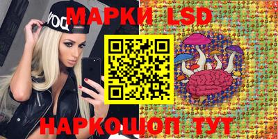прущие грибы Краснодар