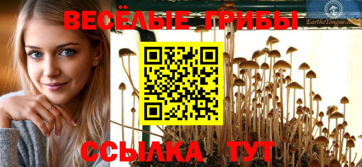 Галлюциногенные грибы ЛСД Калач-на-Дону