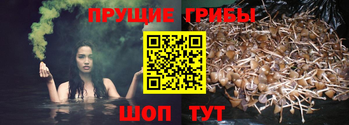 Галлюциногенные грибы прущие грибы  Вход с VPN  Псилоцибиновые грибы Magic Shrooms  Калач-на-Дону 